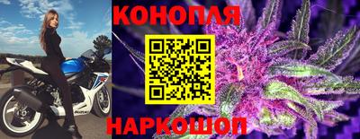 амф Гатчина