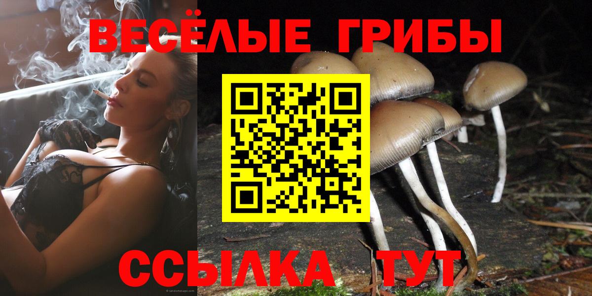 Тобольск  Псилоцибиновые грибы Psilocybe  Вход с VPN  Галлюциногенные грибы мицелий 