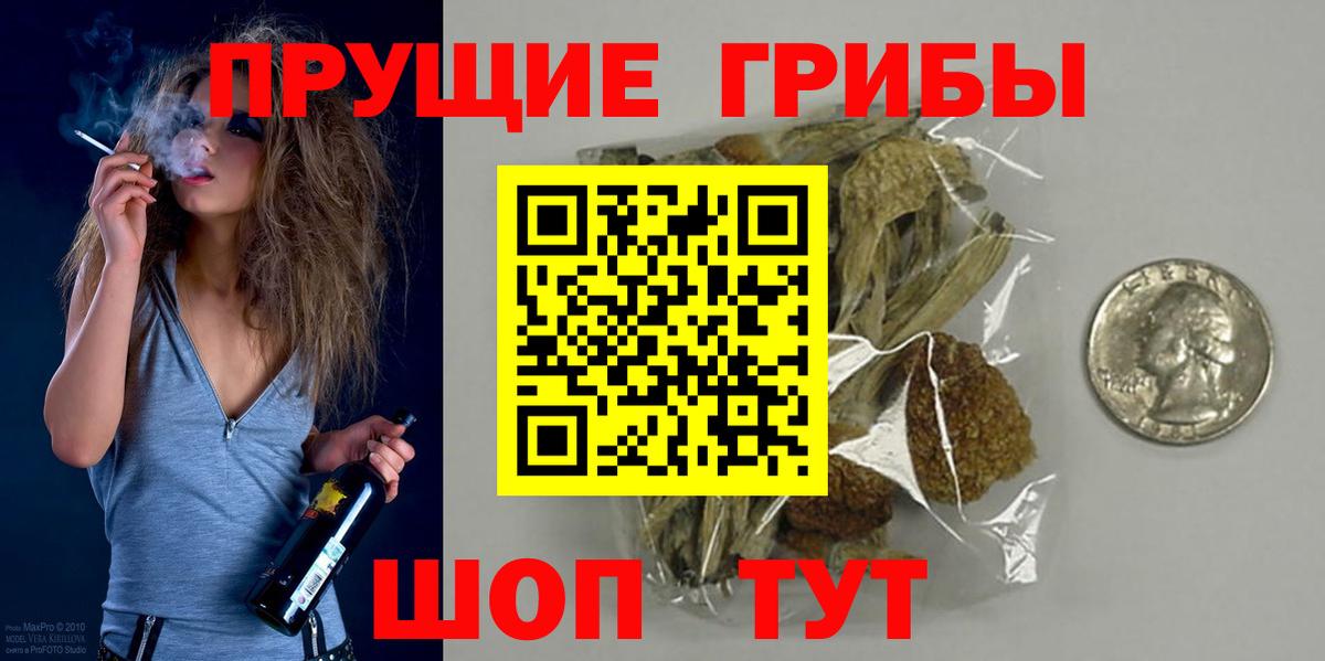 Галлюциногенные грибы Psilocybine cubensis Тобольск